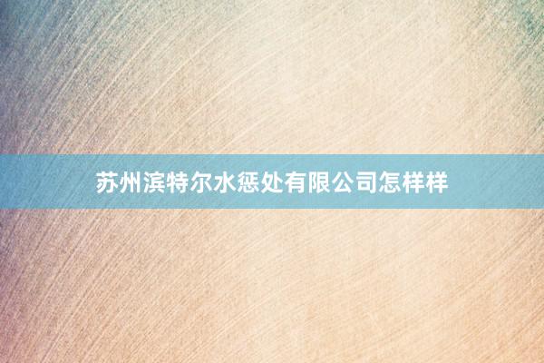 苏州滨特尔水惩处有限公司怎样样